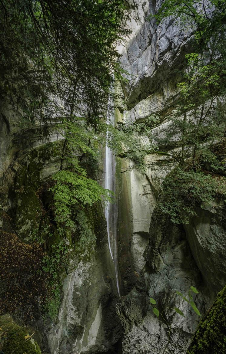 Cascade dans les arbres