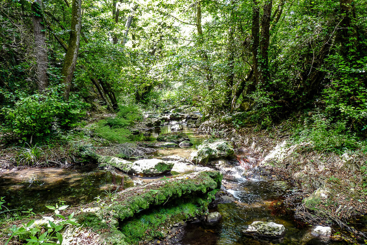 La Brague se faufile