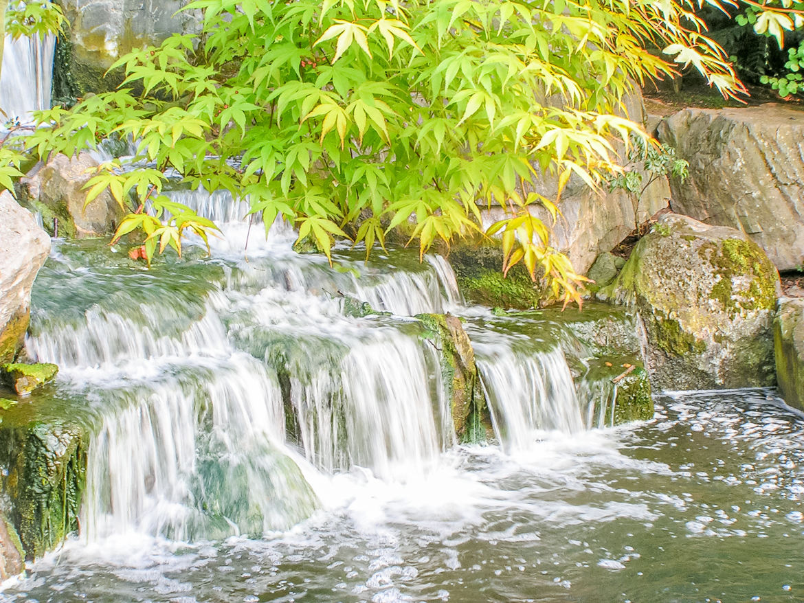 Cascade japonaise