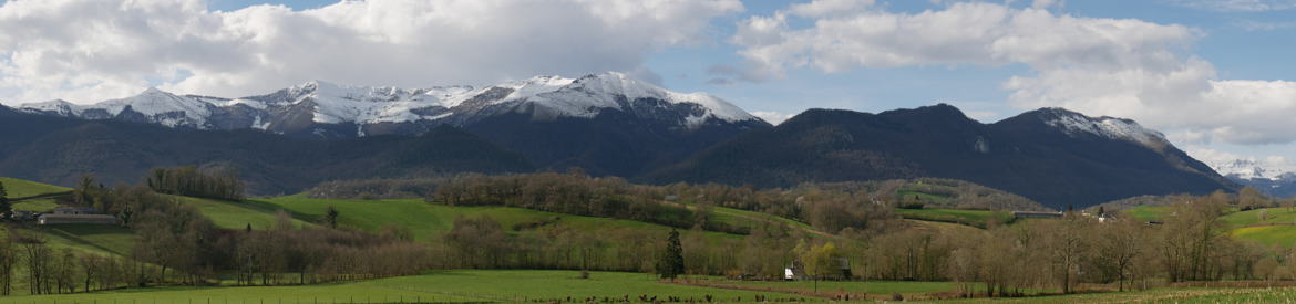 un petit pano bearnais