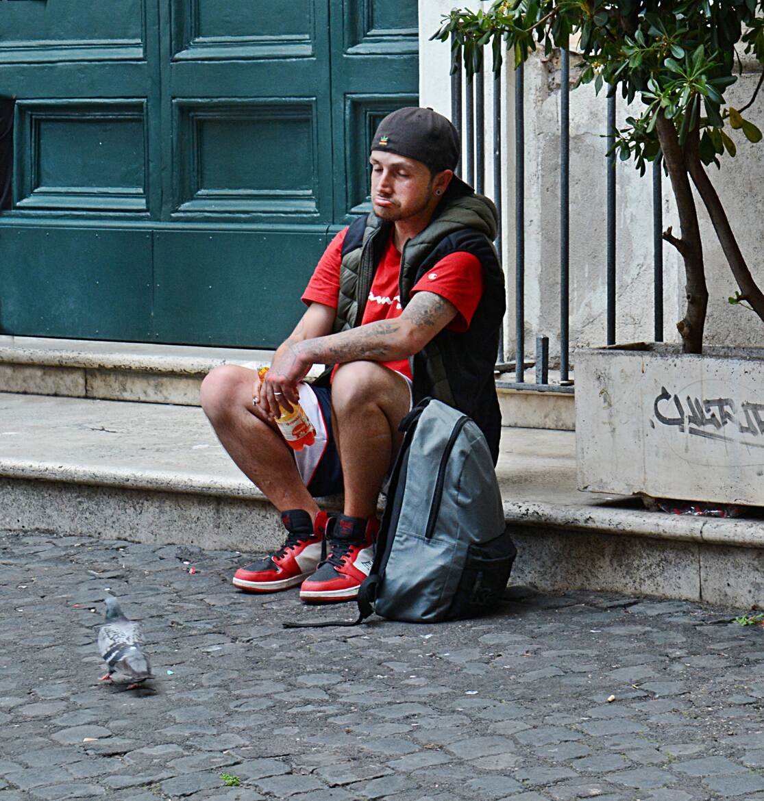 Le dépité et le pigeon