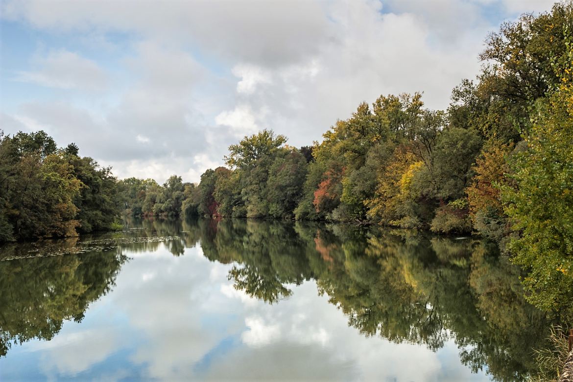 La Saône