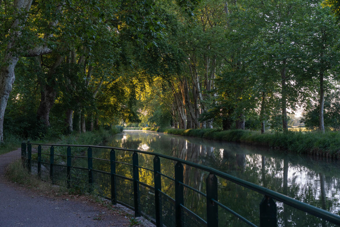 Canal du Rhône au Rhin
