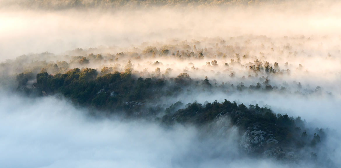 Les mystères de l'automne.