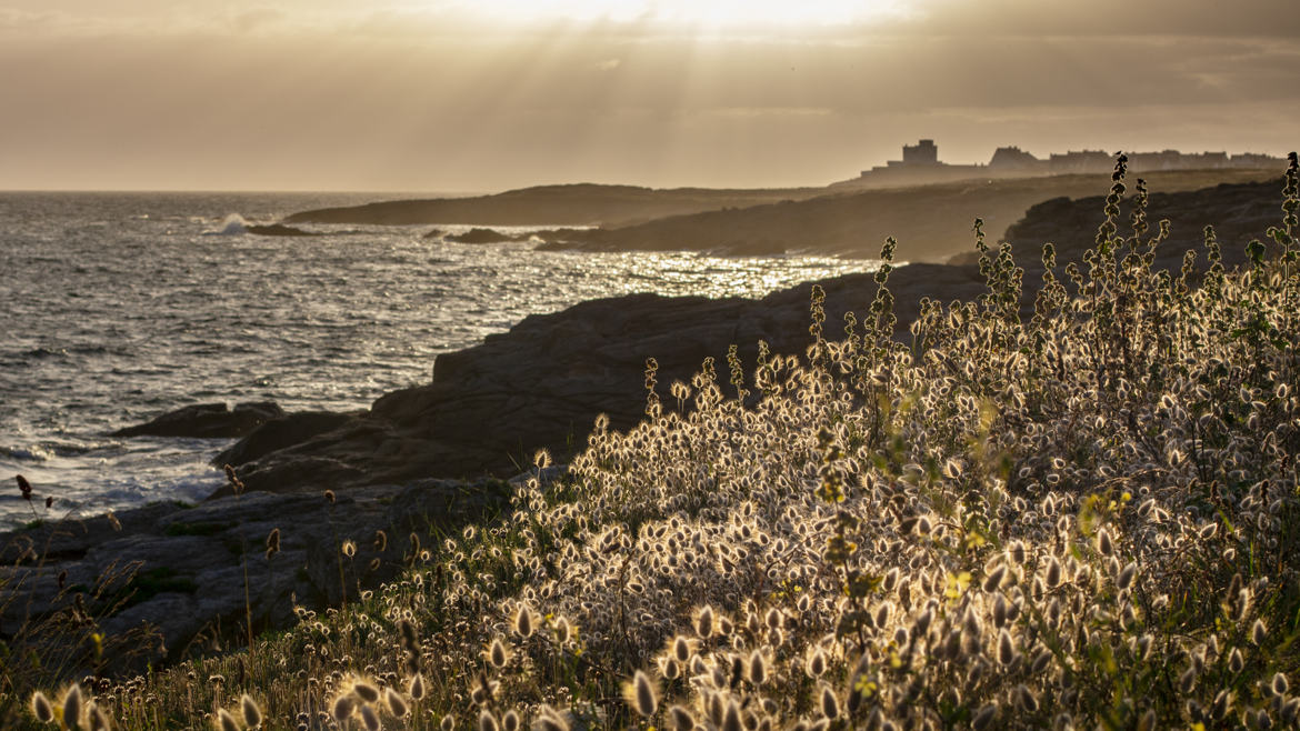 Côte bretonne