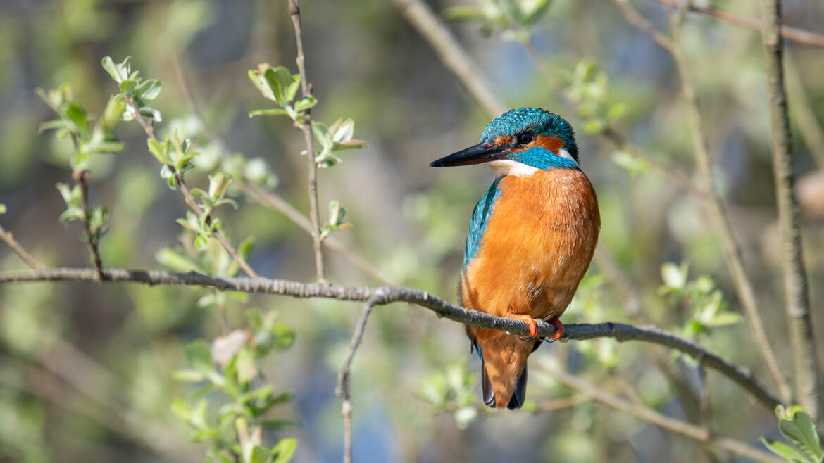 Mr Martin profite du soleil