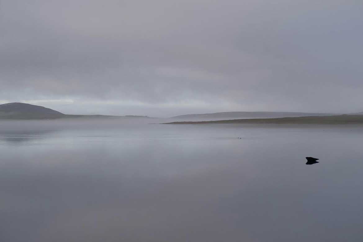 Un profond silence !