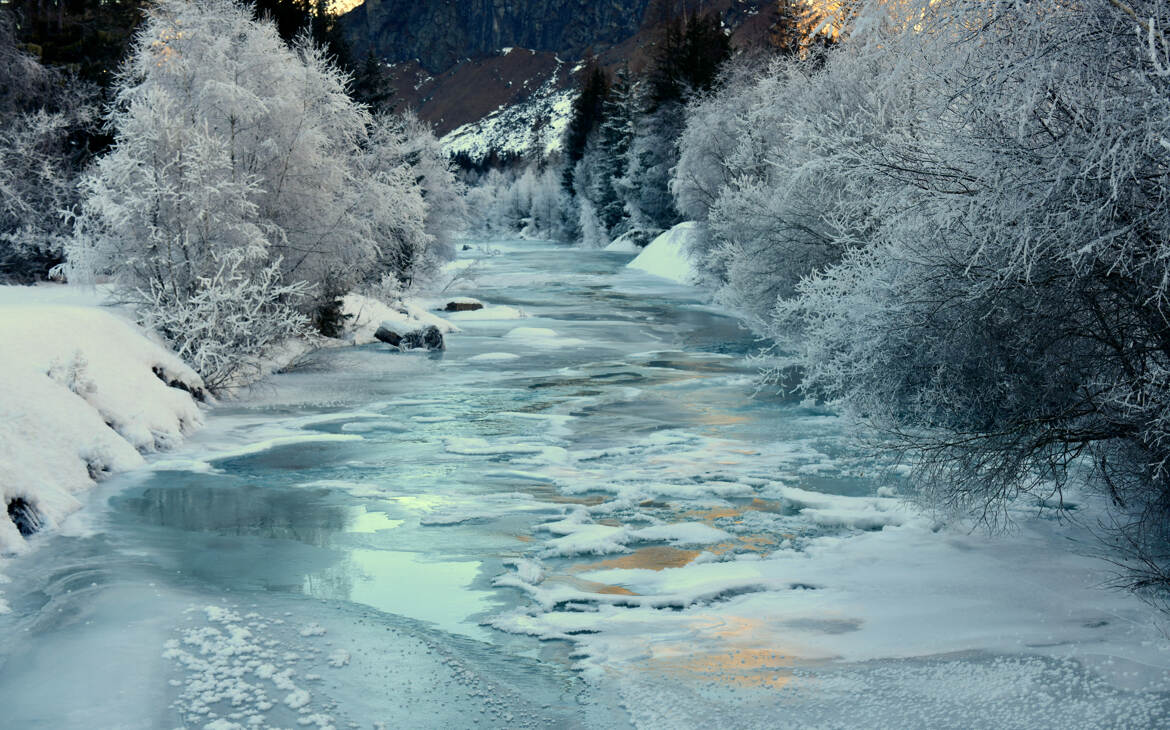 Le poisson est au congélateur