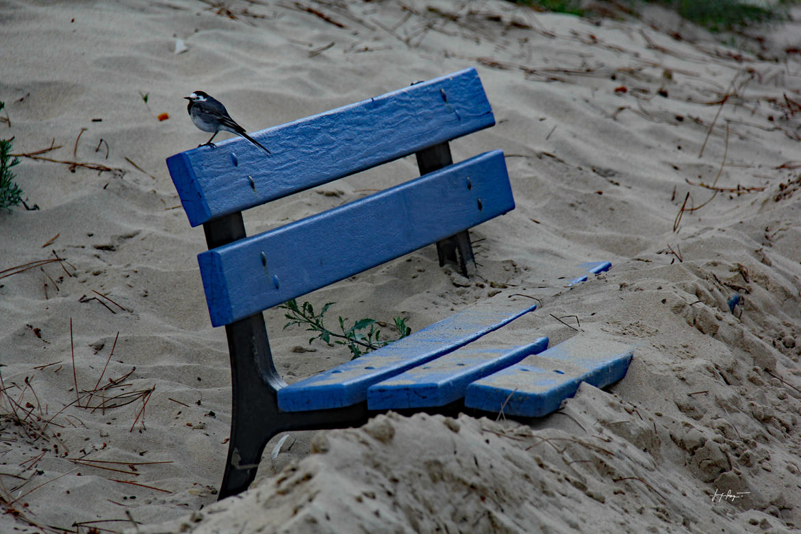 Repos sur un banc de sable