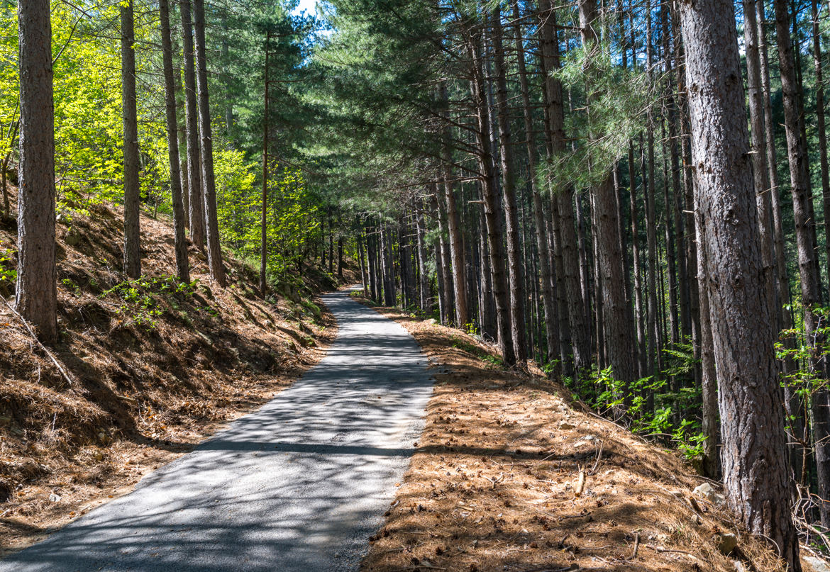 La petite route ....