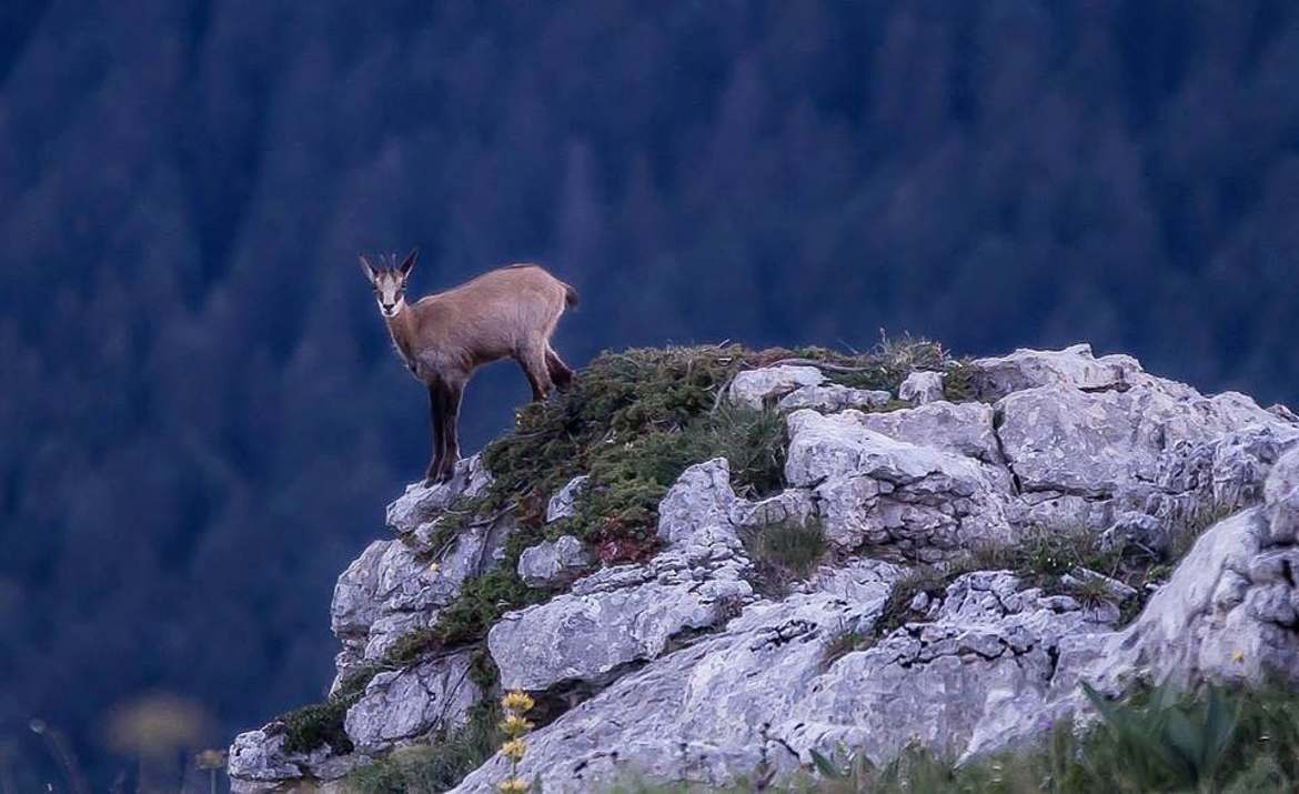 rencontre inatendue