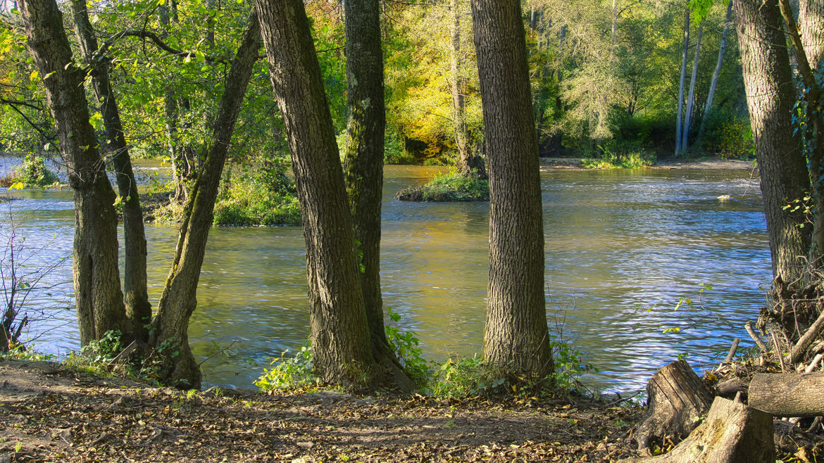 Et derrière coule une rivière