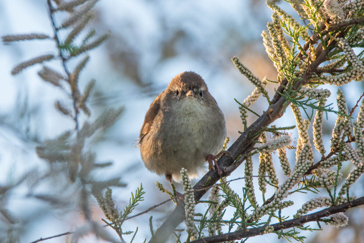 Moi, c'est Bouscale. Et toi?