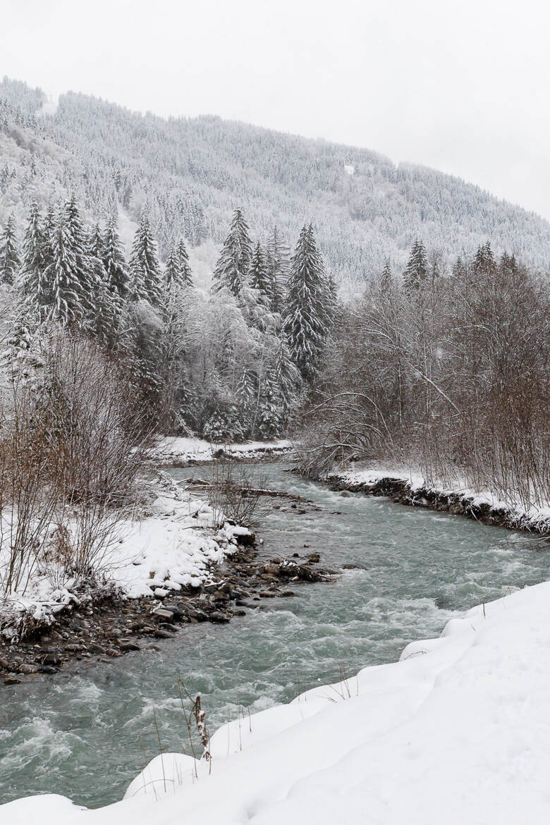 Paysage hivernale