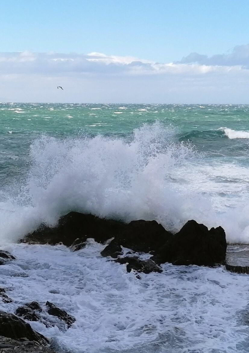 La vague
