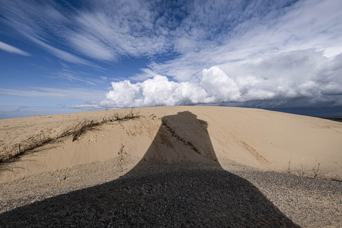 Rubjerg Knude