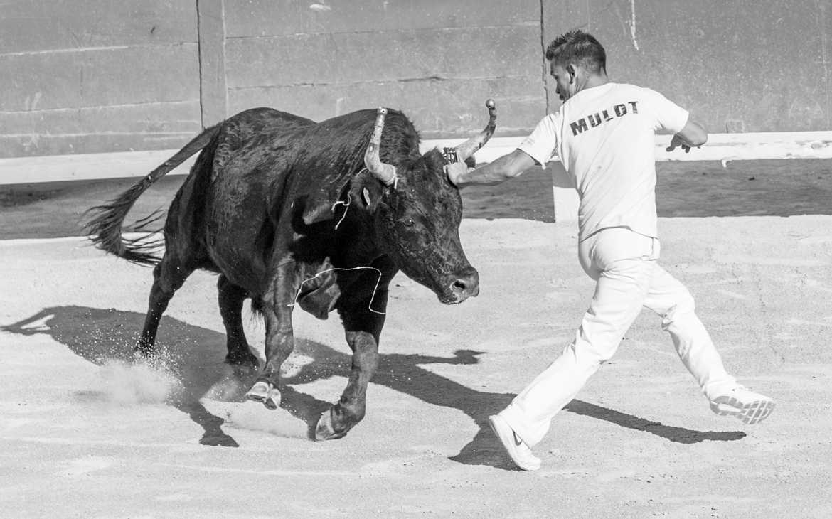 Raseteur en pleine action