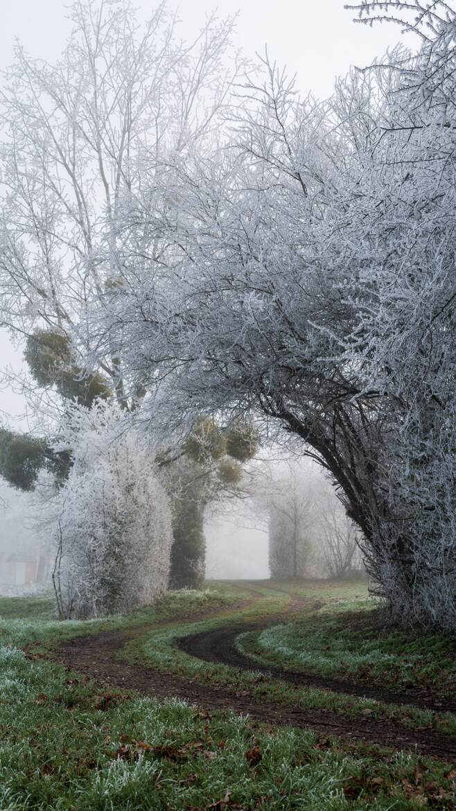 Le passage enchanté...