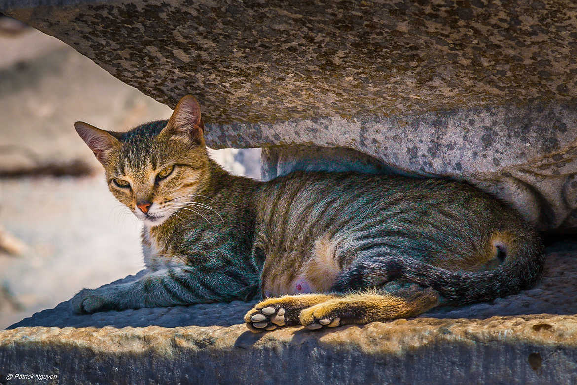 Je suis bien à l'ombre