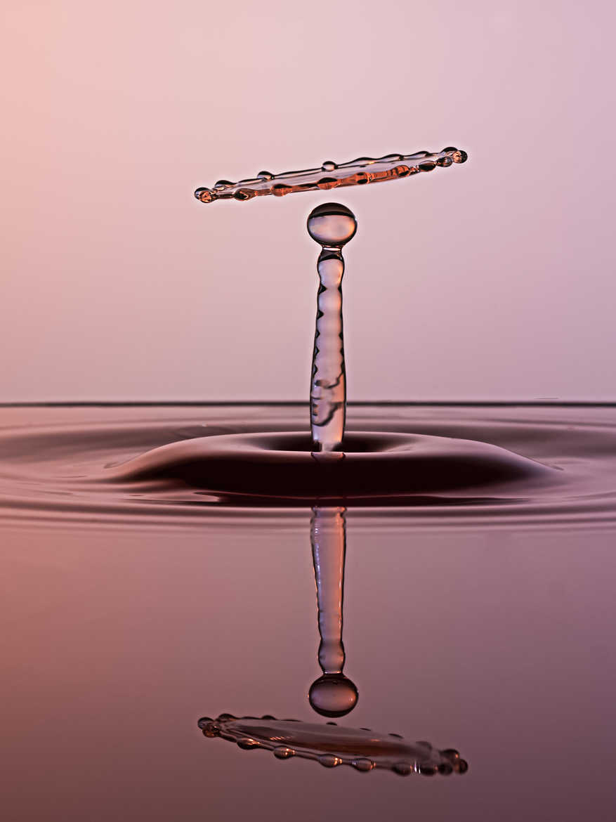 Patience et réflexion