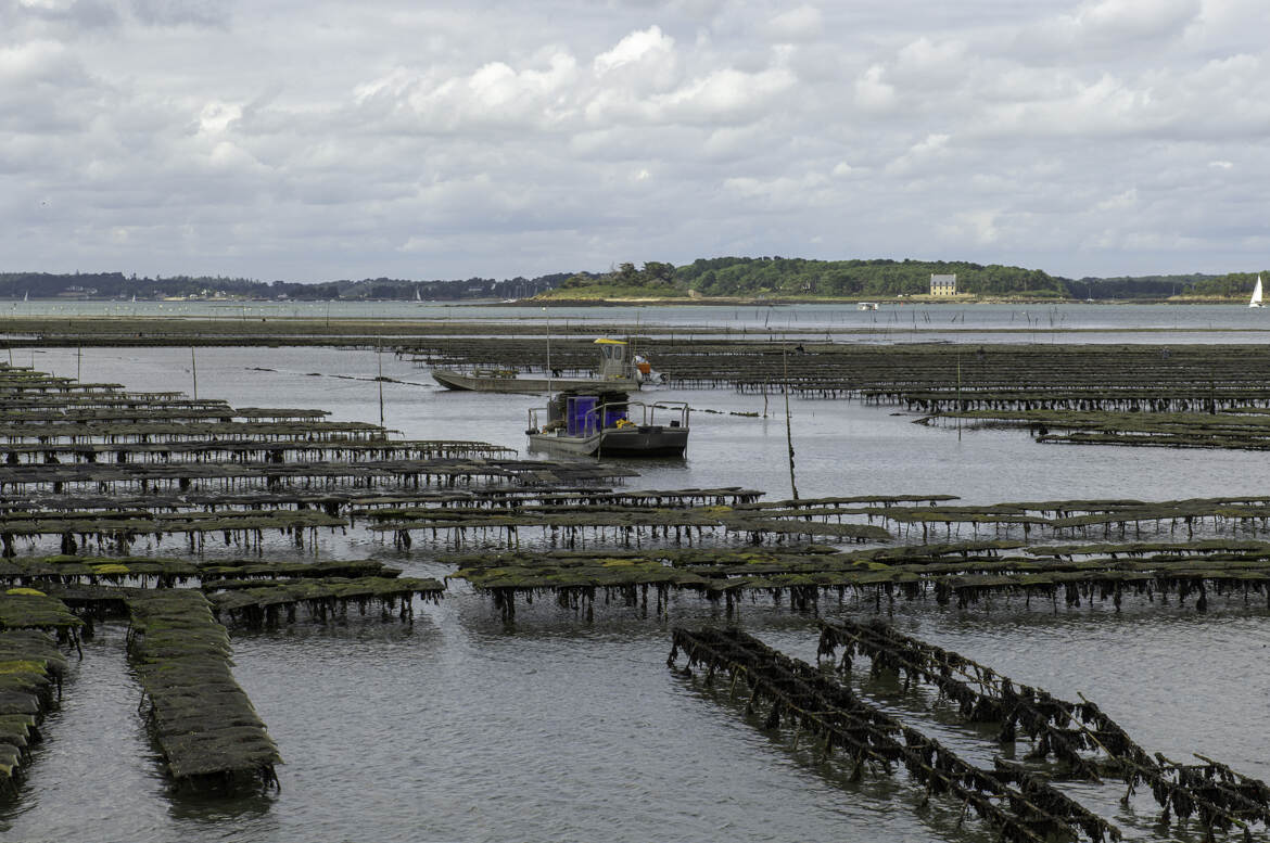 Le port ostréicole de Locamariquaire en Bretagne