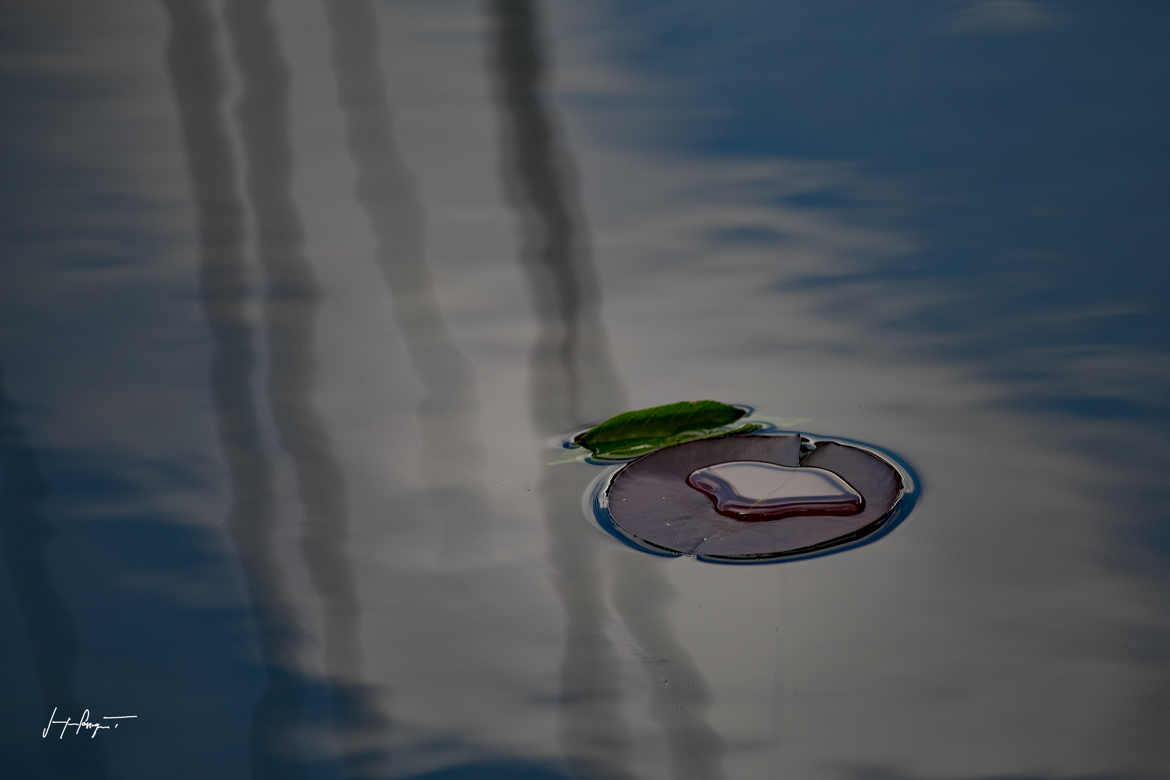 Une goutte d'eau naufragée