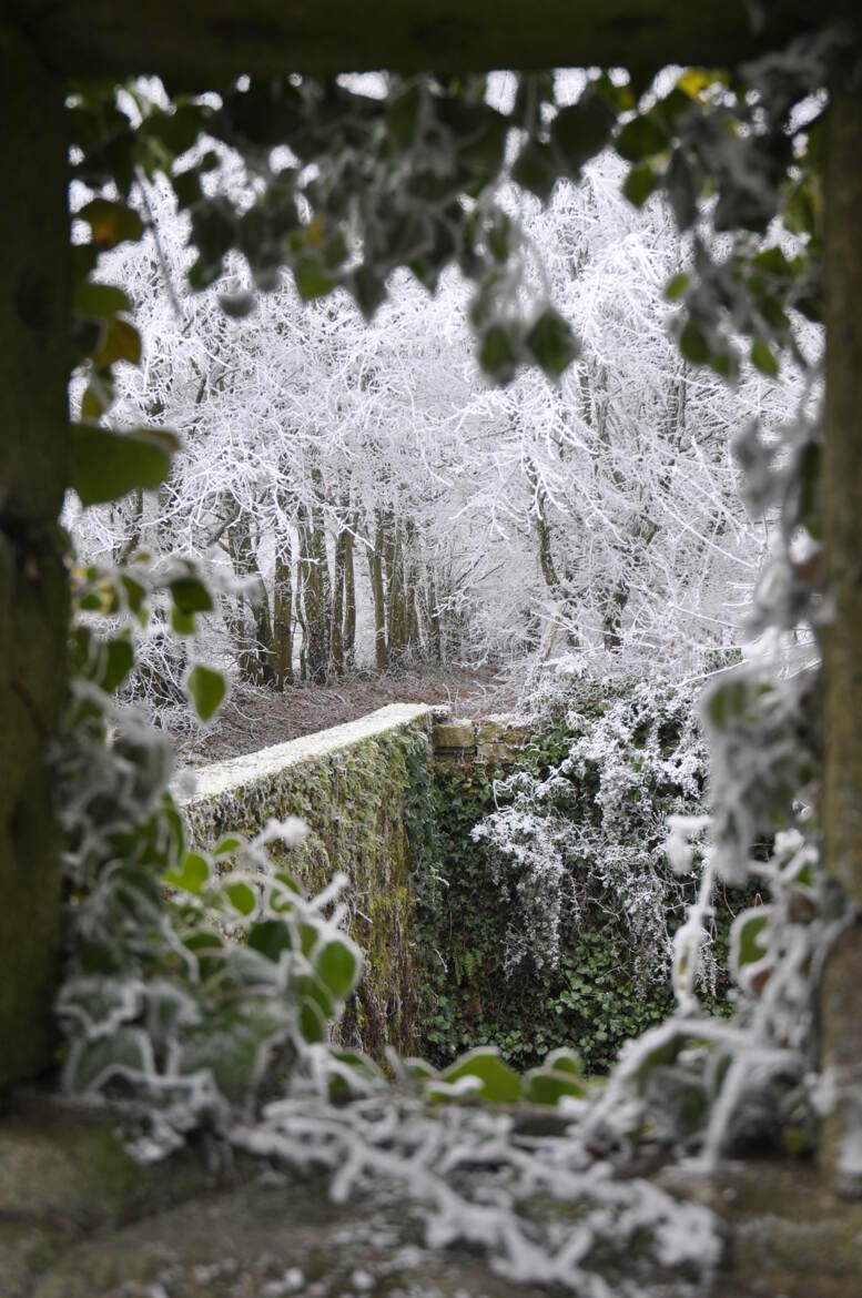 fenêtre ouverte sur 2026