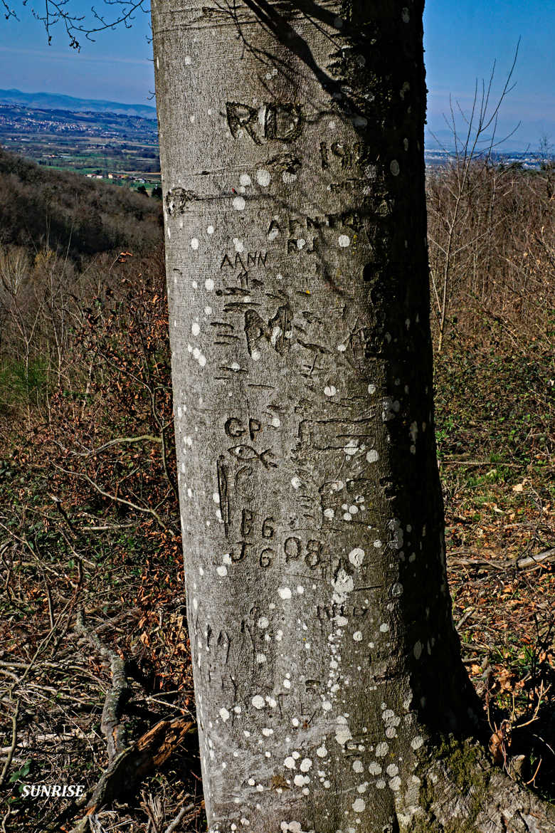 Hiéroglyphes modernes.