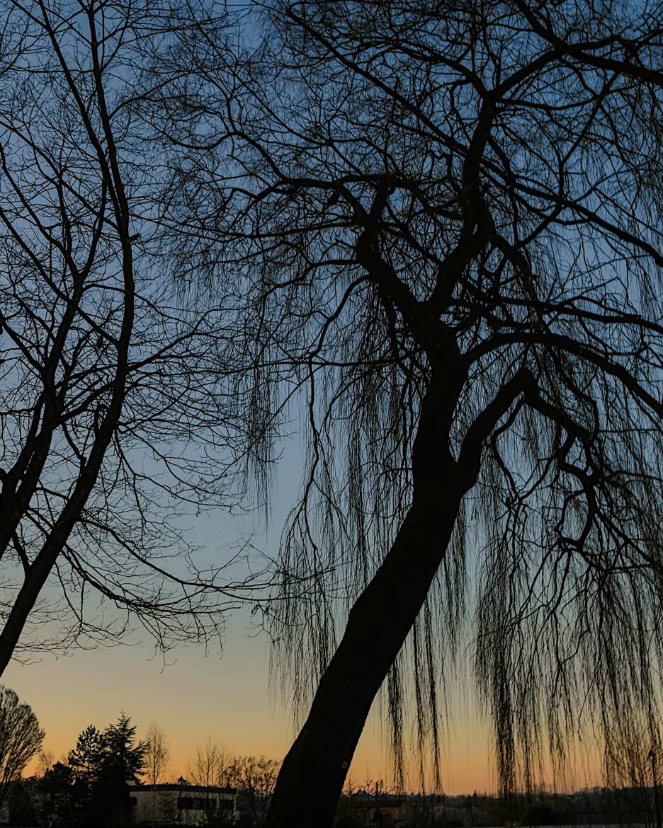 Le poids des années