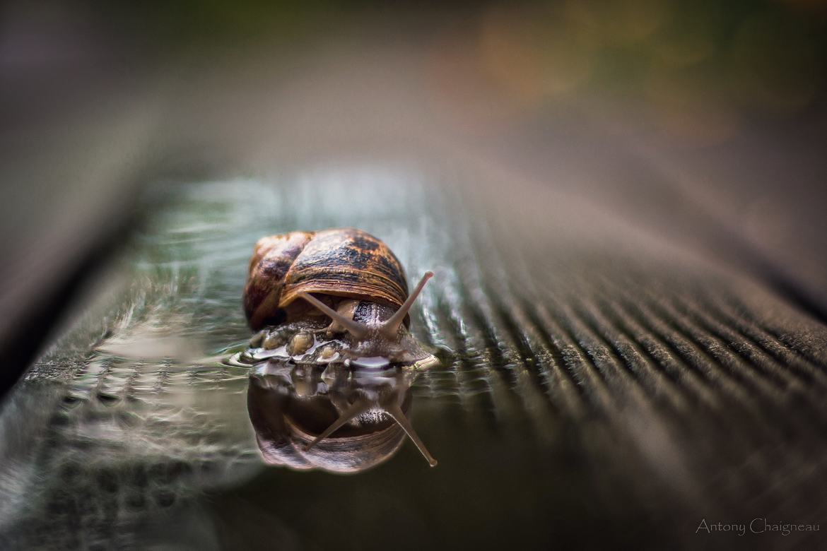 Jour de pluie