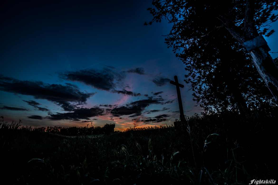 spectacle de la nature