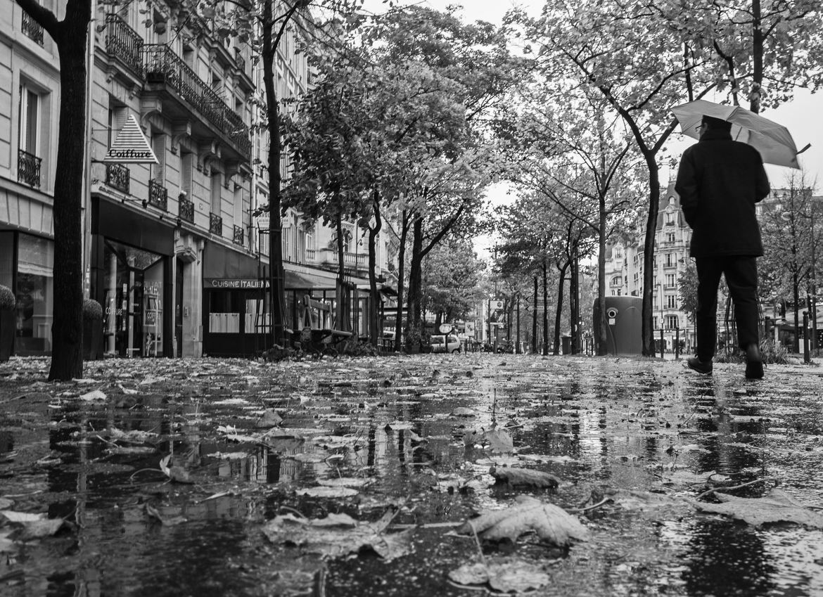 Paris parapluie (1)