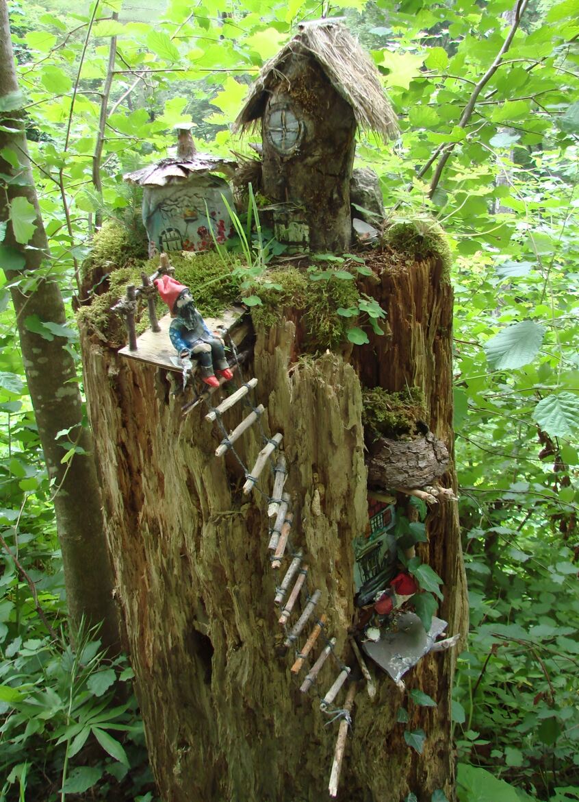 En pleine forêt, l'enchantement