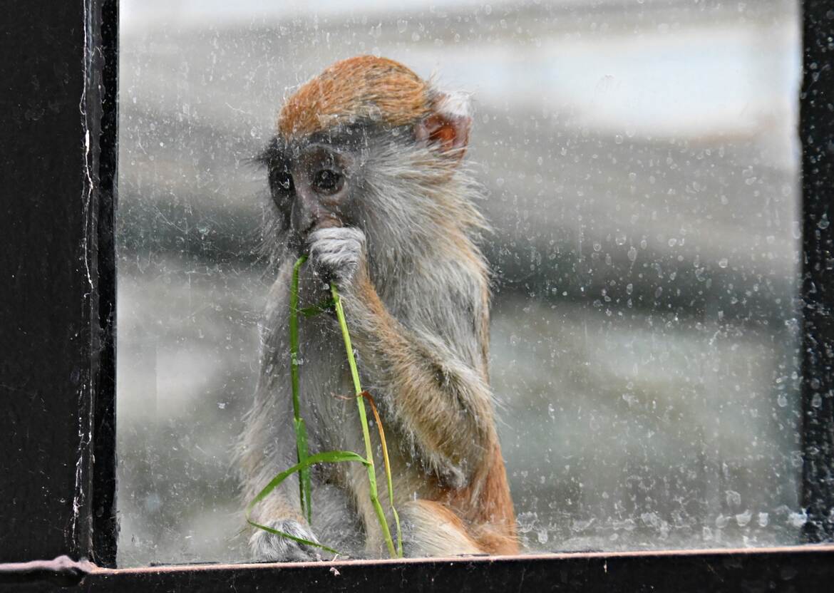 Seul derrière la vitre sale....