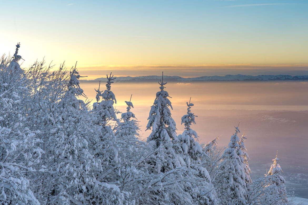 Neige et brume