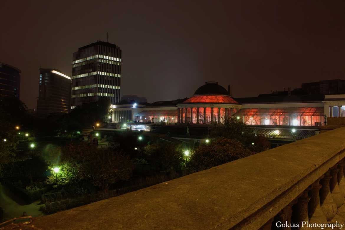 Botanique in the evening