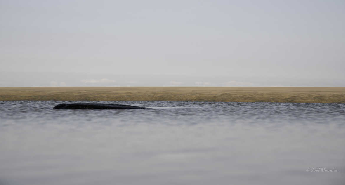 Mystère à la plage