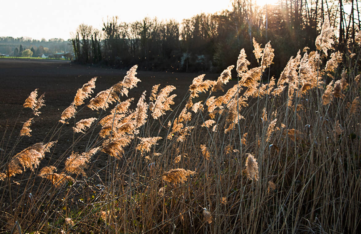 sous les derniers rayons de soleil 1