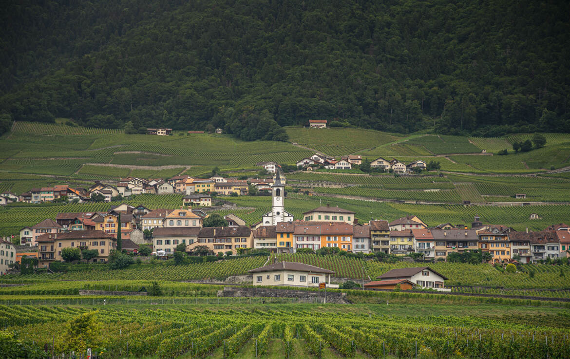 Village Suisse