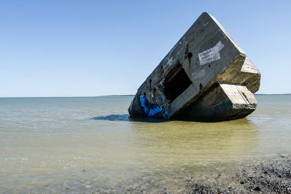 Seul dans l'eau