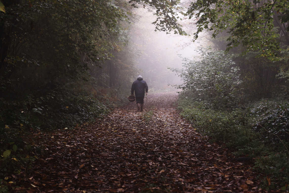 En chemin,j'ai rencontré...