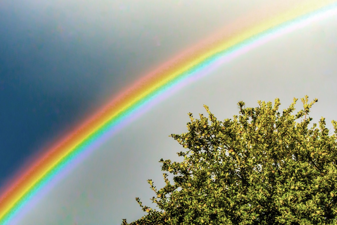 un arc en ciel