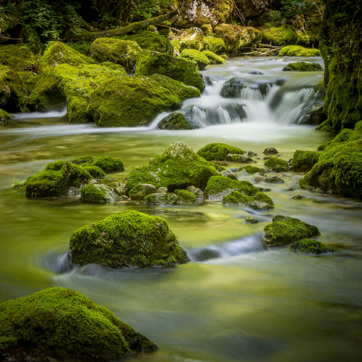 Le cours d'eau