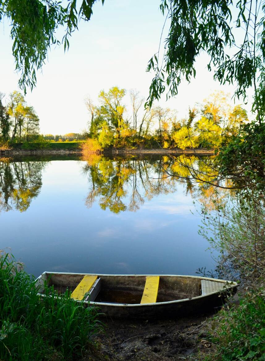 L"attente d'une balade.