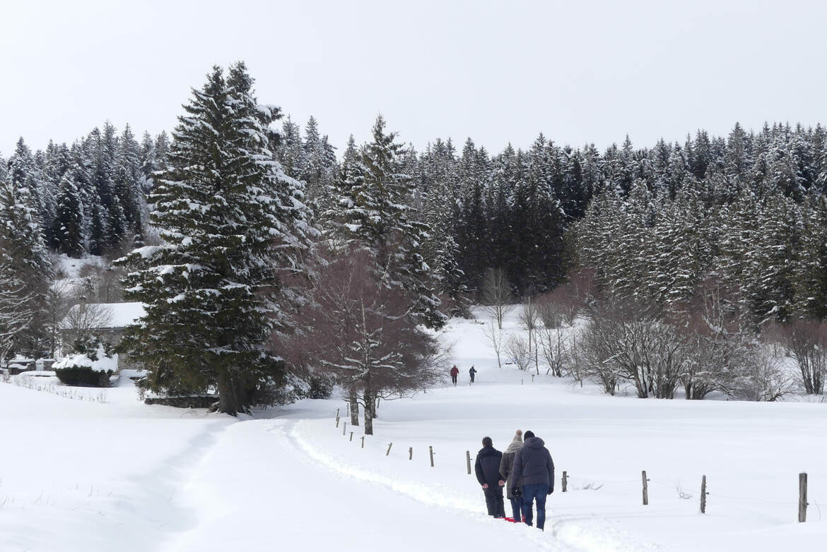 Randonnée hivernale (2)