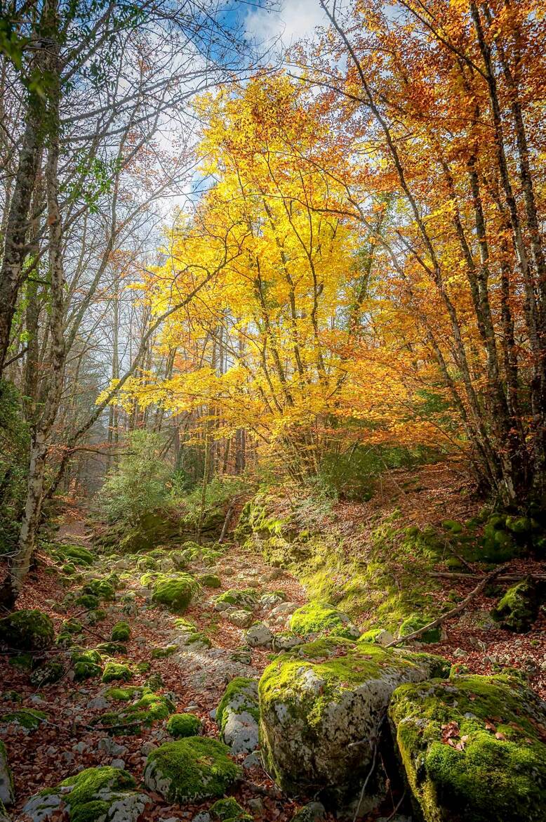 Lumière et couleurs automnales