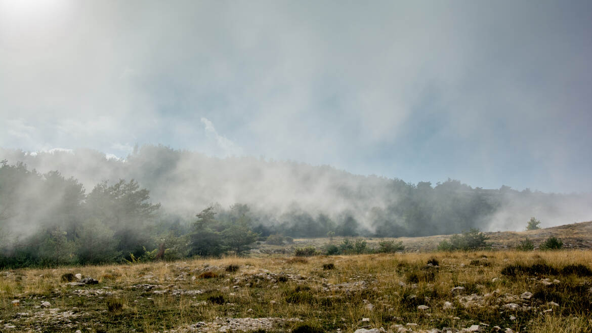 Sous la brume 2