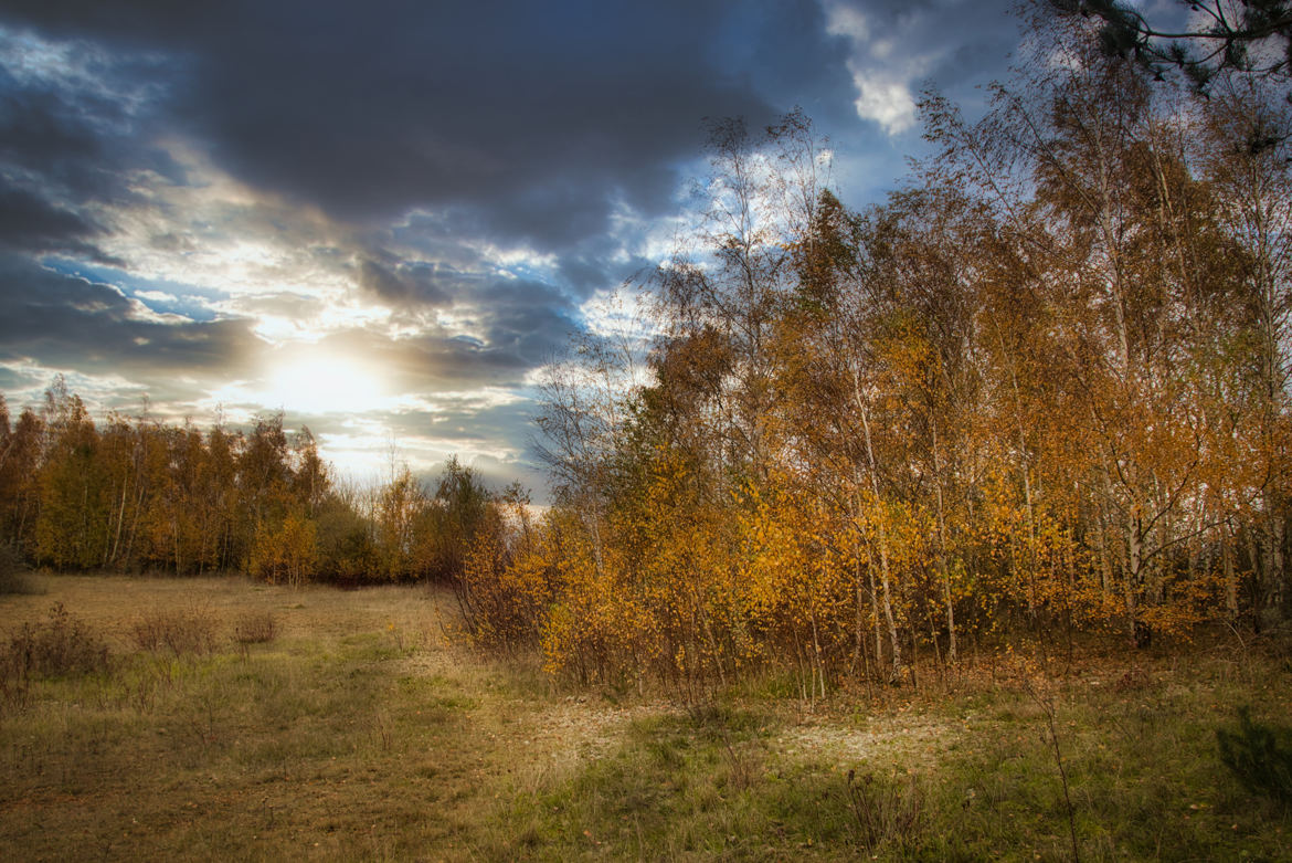 Paysage d'automne