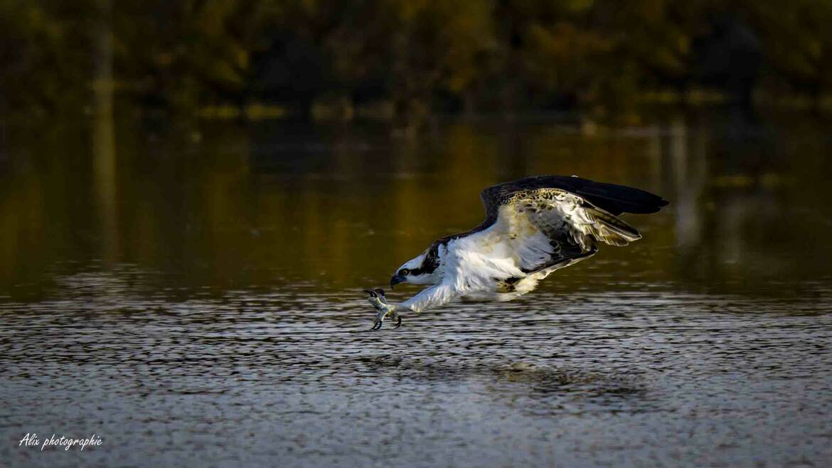 3 secondes avant l'impact