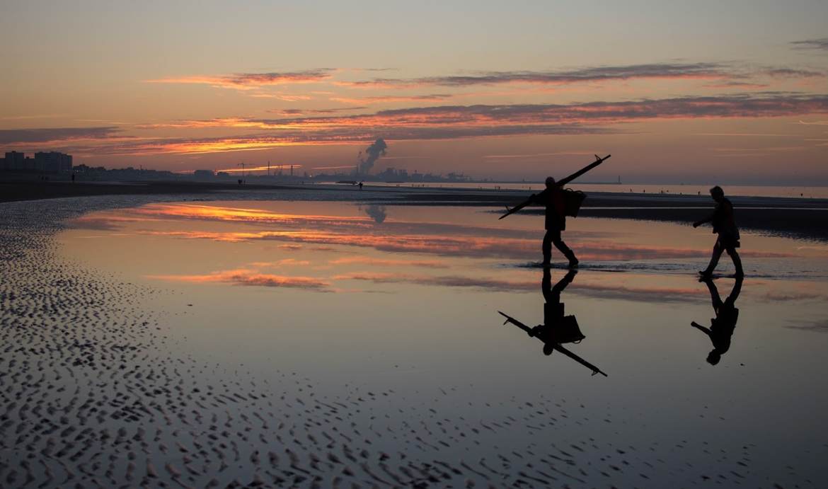 Retour de pêche à la crevette